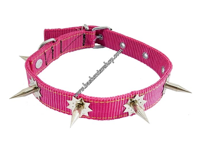 2.5 cm Çivili Köpek Tasması Pembe-av12626