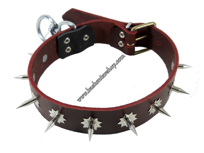 4 cm Vijital Yağlı Deri Çivili Köpek Tasması Bordo-av12403