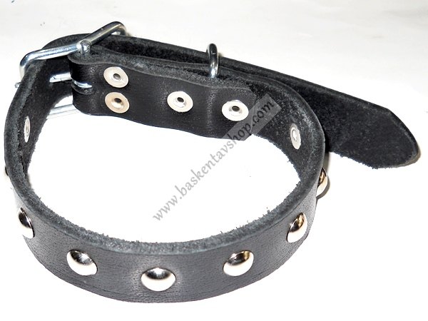 2.5 cm Vijital Deri Süslü Köpek Tasması-av10766